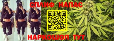 гидра Заводоуковск