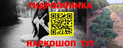 гидра Заводоуковск