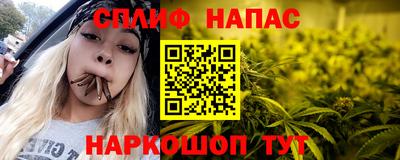 гидра Заводоуковск