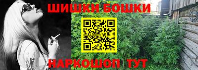 гидра Заводоуковск