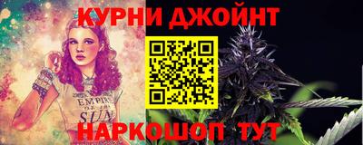 гидра Заводоуковск