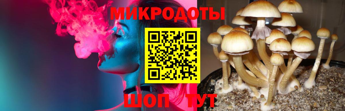 как найти   Псилоцибиновые грибы мицелий  Вход с VPN  Лениногорск  Галлюциногенные грибы MAGIC MUSHROOMS 
