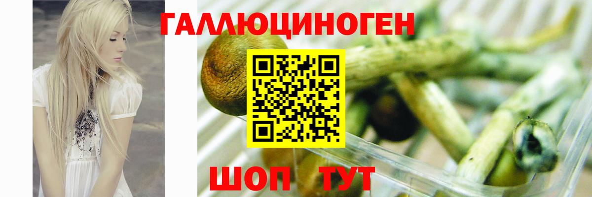 Псилоцибиновые грибы мицелий Лениногорск